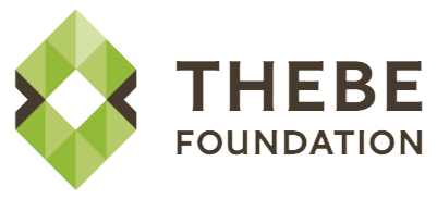 Dr EJ Mabuza Thebe Foundation