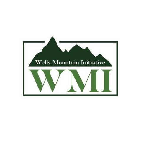 Wells Mountain Initiative Scholarship Program 2026