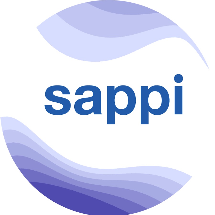 Sappi Bursary South Africa 2027